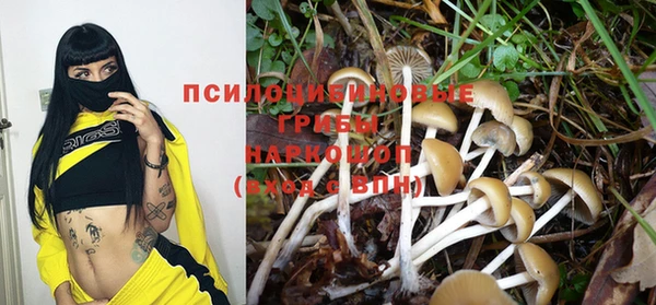 мескалин Баксан