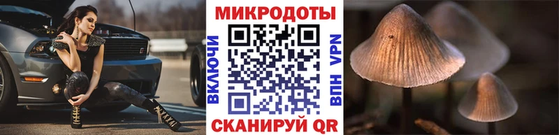 Галлюциногенные грибы мицелий  Чаплыгин 
