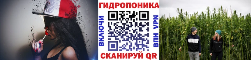 дарнет шоп  Чаплыгин  hydra вход  Бошки Шишки OG Kush 